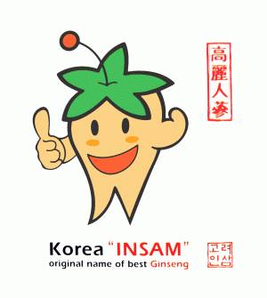 Korea INSAM
